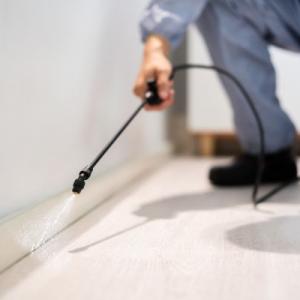 Morgantown Pest Control Service