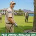 pest control in bullhead city az