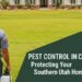 pest control in cedar city
