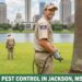 pest control in jackson ms