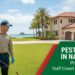 pest control in naples fl