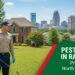 pest control in raleigh nc