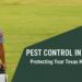 pest control in schertz